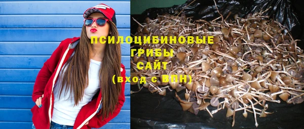 первитин Няндома