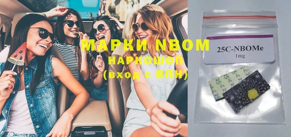 ГАЛЛЮЦИНОГЕННЫЕ ГРИБЫ Новозыбков