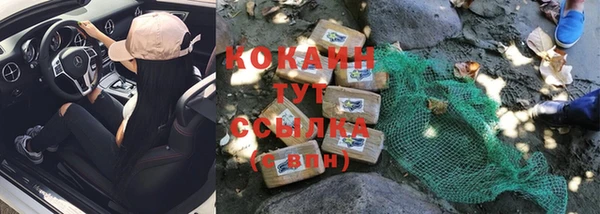 кокс Невель