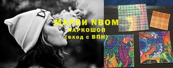 первитин Няндома