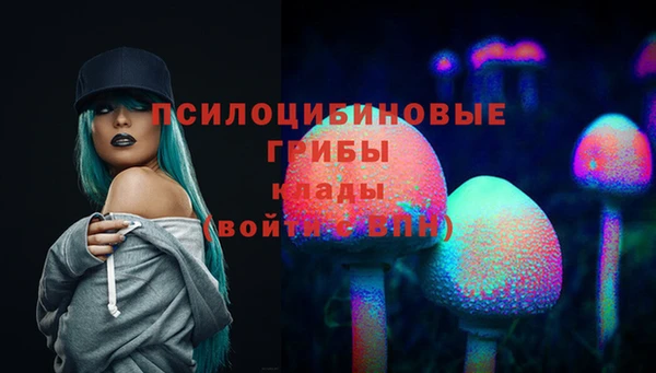 ГАЛЛЮЦИНОГЕННЫЕ ГРИБЫ Новозыбков