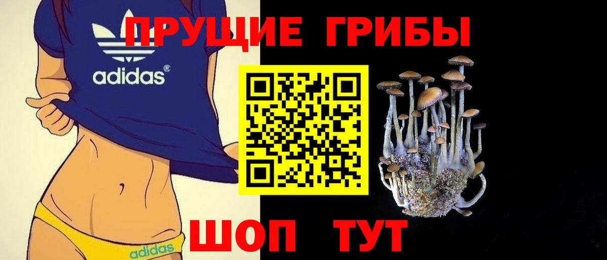 Псилоцибиновые грибы прущие грибы Мегион