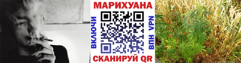 Бошки Шишки VHQ  Мегион 